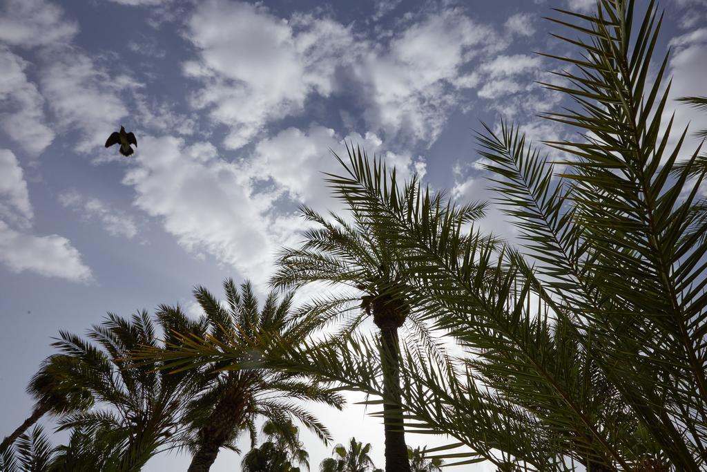 Dar Ayniwen Garden Hotel & Bird Zoo Marraquexe Exterior foto