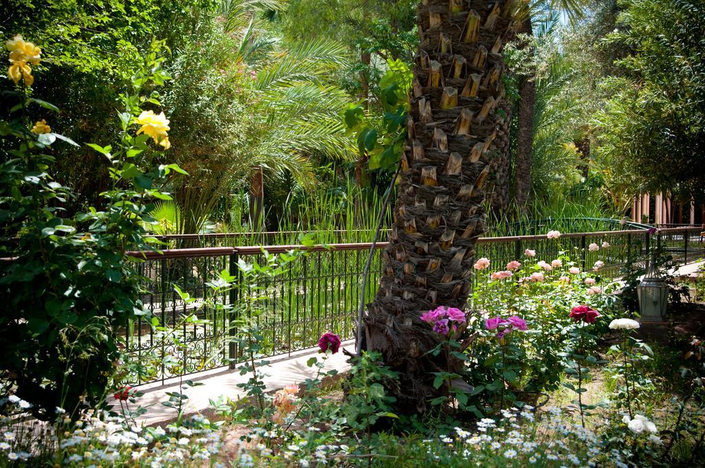 Dar Ayniwen Garden Hotel & Bird Zoo Marraquexe Exterior foto
